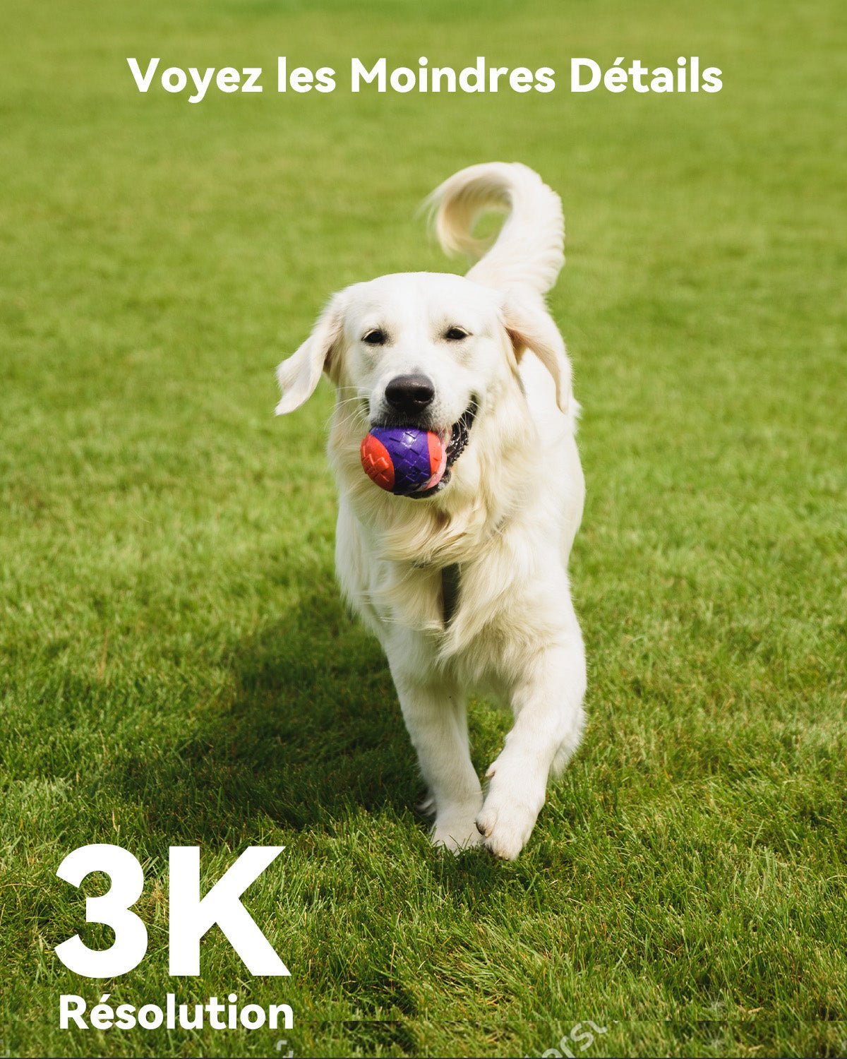 2 Pieces Cruiser Dual Kit 5MP+3MP / 3MP+3MP - IMOU Store3MP(PT)+3MP(Fixed)None