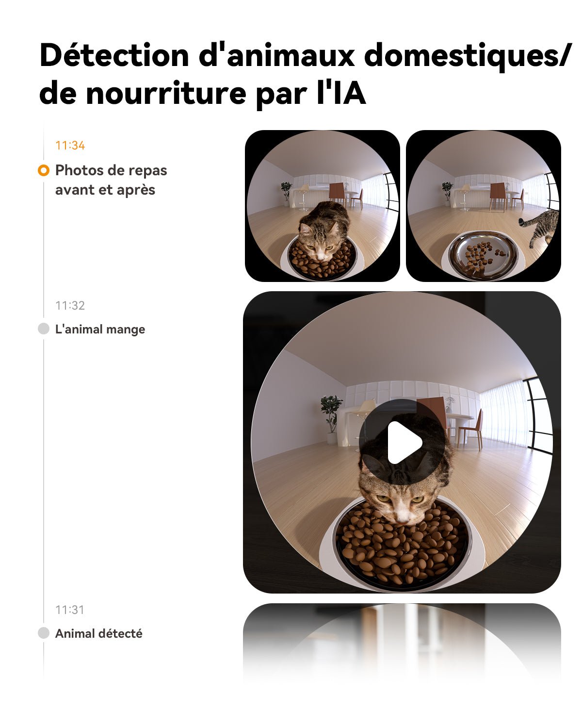 4L Automatic Cat Food Dispenser with 360° 4MP Camera PF1 - UK - IMOU StorePF1