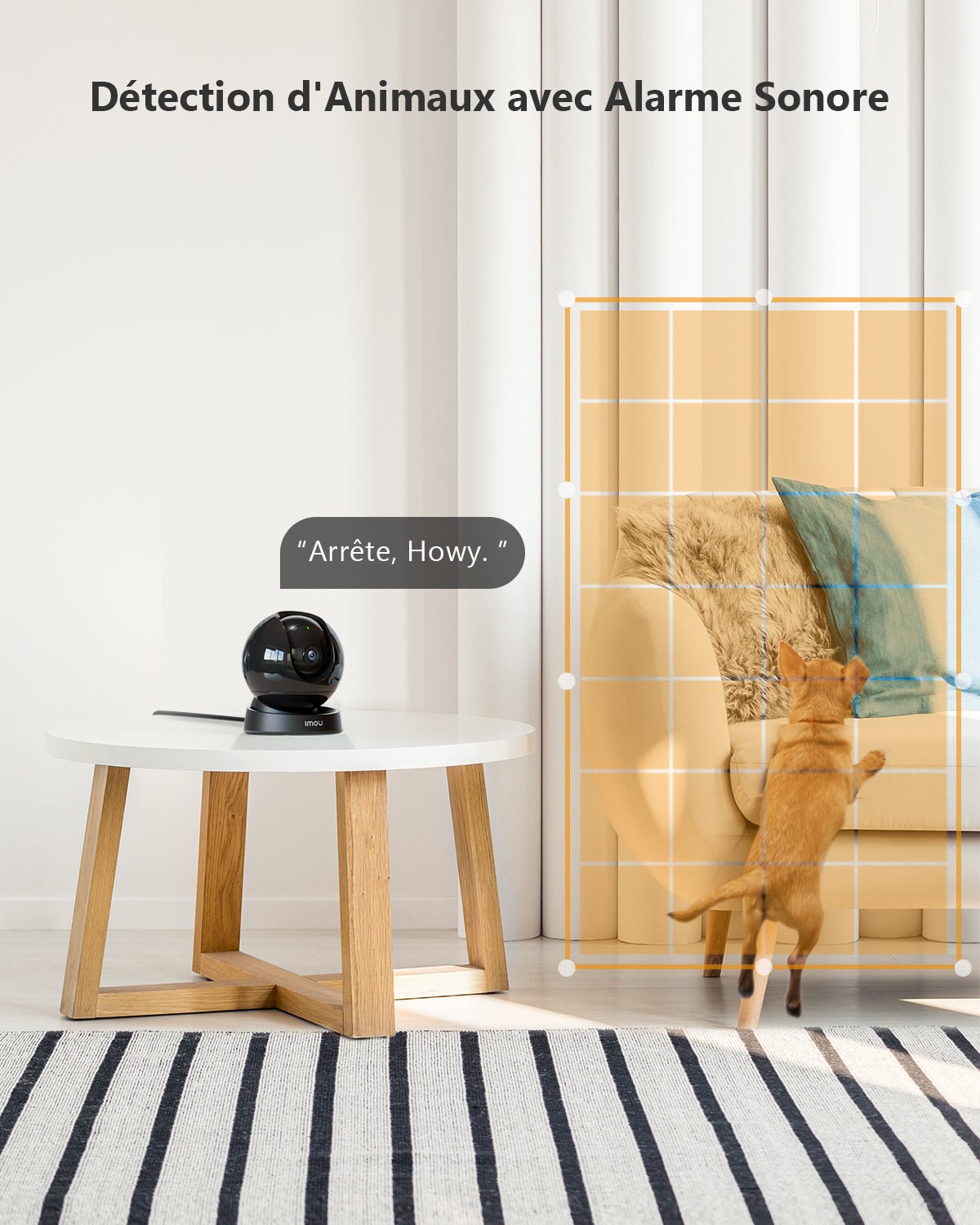 Rex 3D Auto Cruise 5MP/3MP - IMOU Store3MP 2KNone