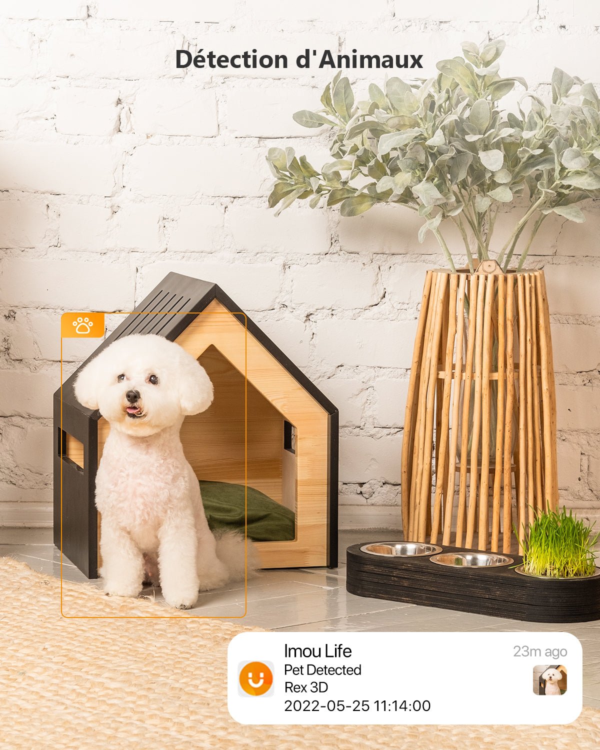 Rex 3D Auto Cruise 5MP/3MP - IMOU Store3MP 2KNone